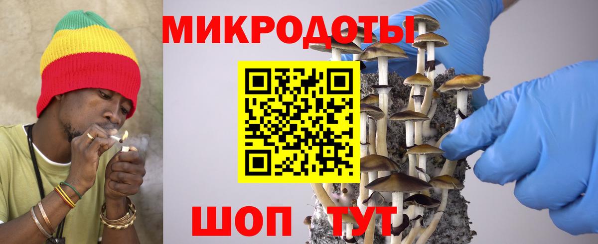 Псилоцибиновые грибы прущие грибы  Вход с VPN  Геленджик 